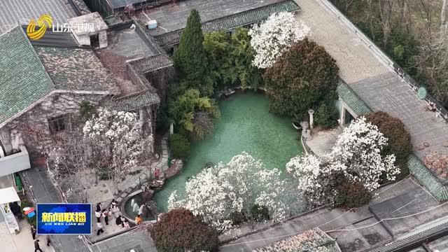 串珠成链 济南“赏花经济”出圈【遇见美丽山东】