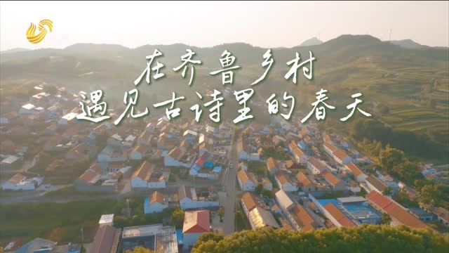 在齐鲁乡村遇见古诗里的春天