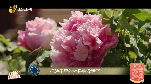 20260330《最炫国剧风》：国色芳华