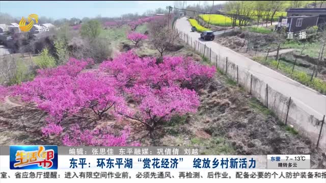东平：环东平湖“赏花经济” 绽放乡村新活力