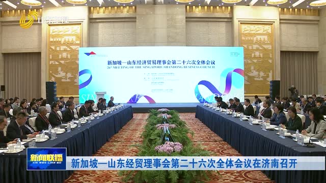 新加坡—山东经贸理事会第二十六次全体会议在济南召开