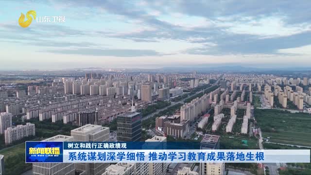 系统谋划深学细悟 推动学习教育成果落地生根【树立和践行正确政绩观】