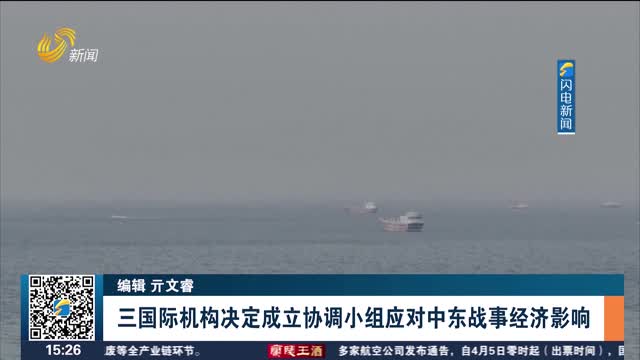 三国际机构决定成立协调小组应对中东战事经济影响