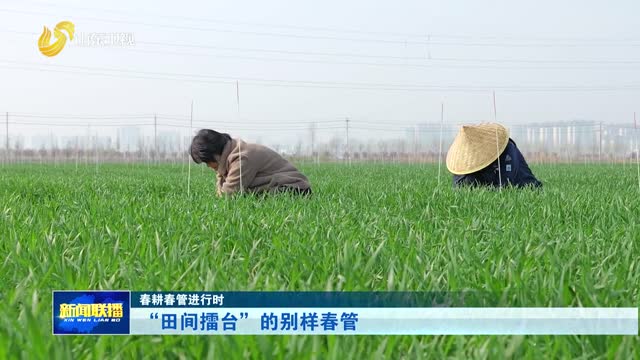 “田间擂台”的别样春管【春耕春管进行时】