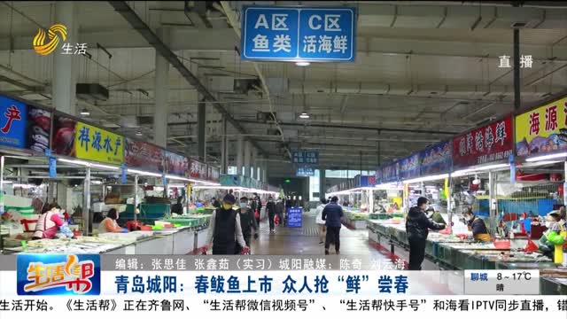 青島城陽：春鲅魚上市 眾人搶“鮮”嘗春