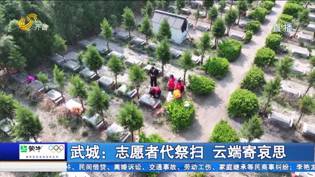 武城：志愿者代祭扫 云端寄哀思