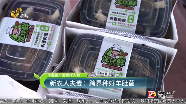 【羊肚菌产业榜样人物】新农人夫妻：跨界种好羊肚菌