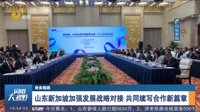 山东新加坡加强发展战略对接 共同续写合作新篇章