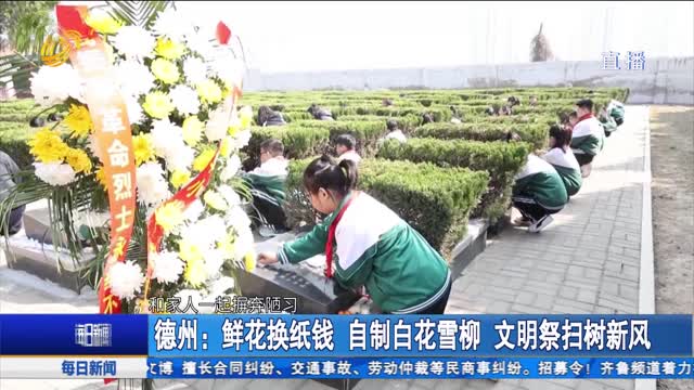 德州：鲜花换纸钱 自制白花雪柳 文明祭扫树新风