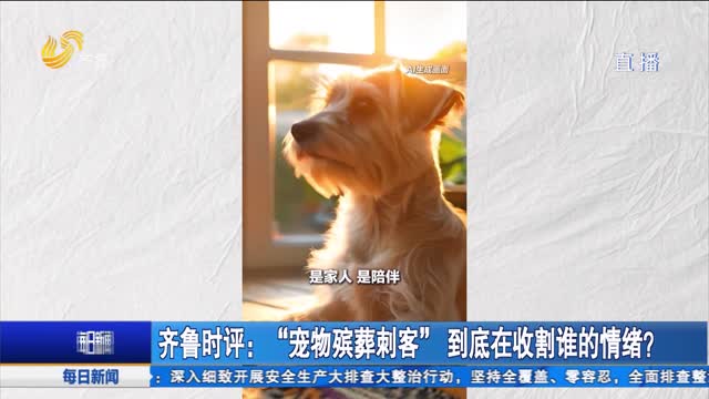 齐鲁时评：“宠物殡葬刺客” 到底在收割谁的情绪？