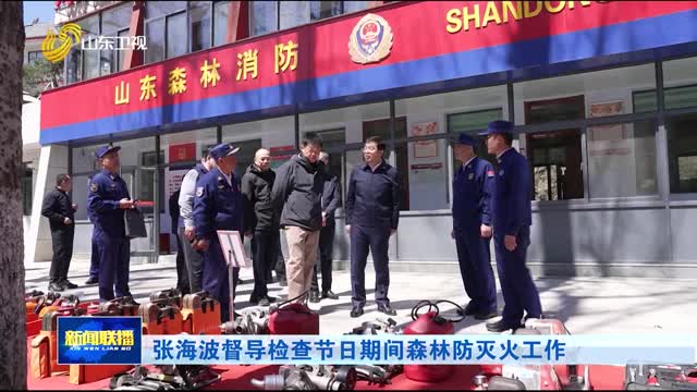 張海波督導檢查節日期間森林防滅火工作