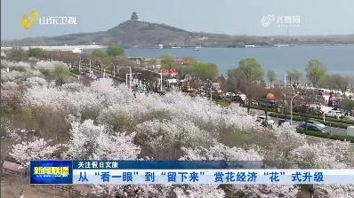 從“看一眼”到“留下來” 賞花經濟“花”式升級【關注假日文旅】