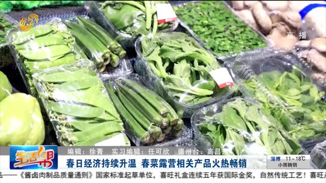 春日经济持续升温 春菜露营相关产品火热畅销