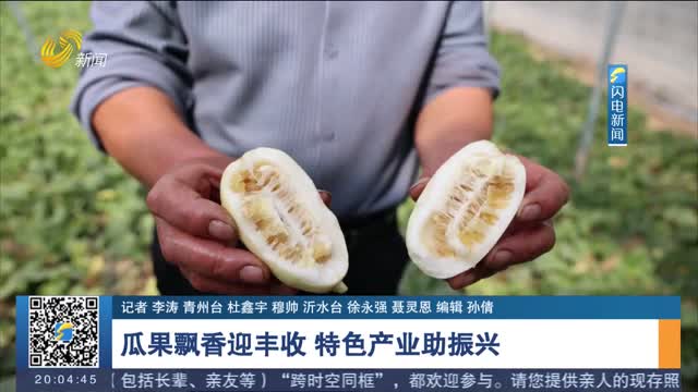 【春日丰收正当时】瓜果飘香迎丰收 特色产业助振兴