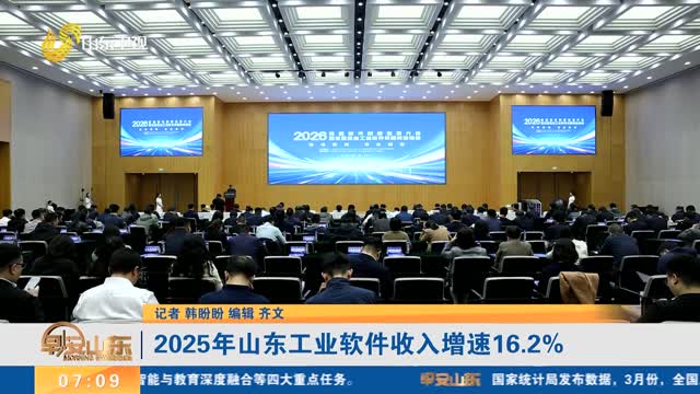 2025年山东工业软件收入增速16.2%