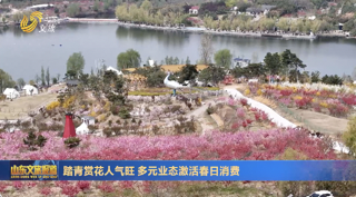 踏青賞花人氣旺 多元業態激活春日消費