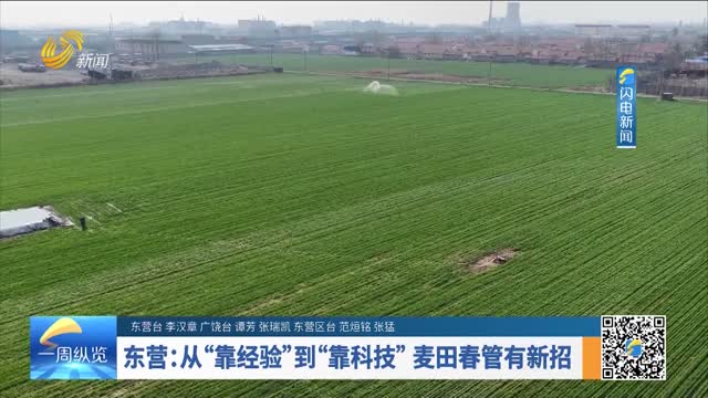 东营：从“靠经验”到“靠科技” 麦田春管有新招