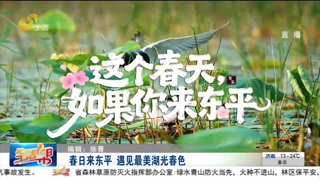 春日来东平 遇见最美湖光春色