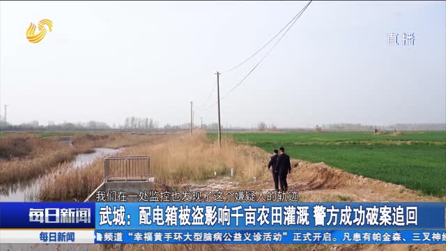 武城：配电箱被盗影响千亩农田灌溉 警方成功破案追回