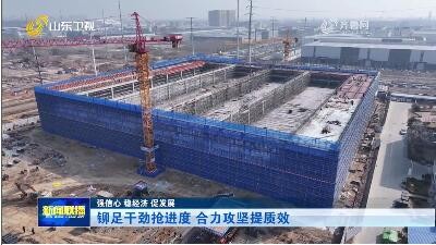 铆足干劲抢进度 合力攻坚提质效【强信心 稳经济 促发展】