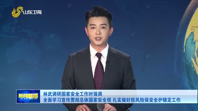 林武調研國家安全工作時強調 全面學習宣傳貫徹總體國家安全觀 扎實做好防風險保安全護穩定工作