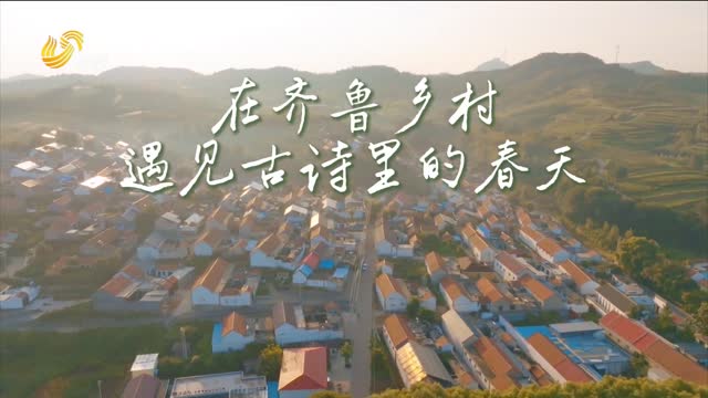 在齊魯鄉村遇見古詩里的春天