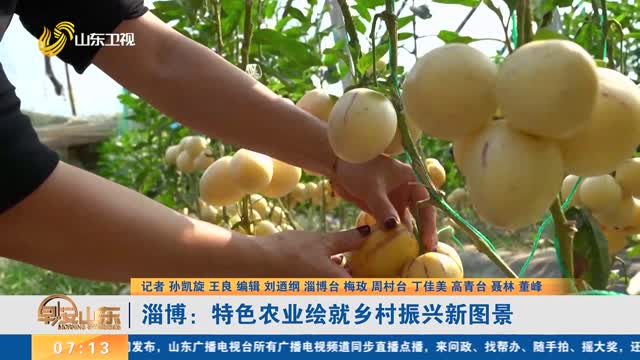 淄博：特色农业绘就乡村振兴新图景