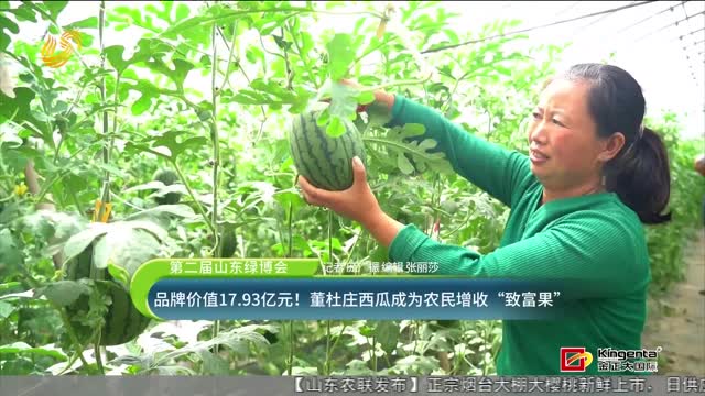 【第二屆山東綠博會】品牌價值17.93億元！董杜莊西瓜成為農民增收“致富果”