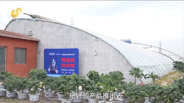 【雙剪抗鹽生根菌】一棚甜瓜長倆樣 早熟增產靠雙剪