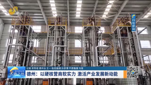 德州：以硬核营商软实力 激活产业发展新动能