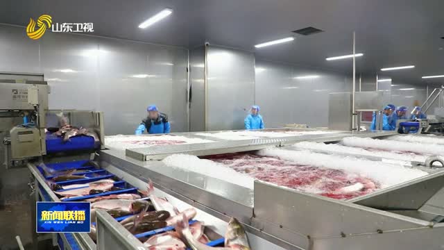 一條魚躍動20億元大市場【強信心 穩經濟 促發展】