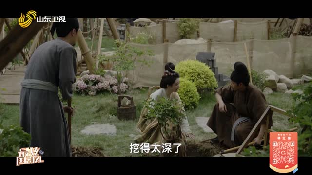 20260415《最炫国剧风》：国色芳华