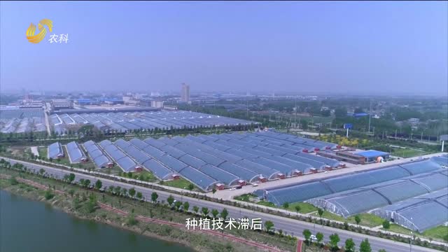 “萬棚煥新”公益護航 幫你種好菜 多賺錢