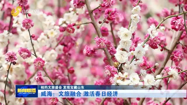 威海：文旅融合 激活春日经济【相约文旅盛会 发现宝藏山东】