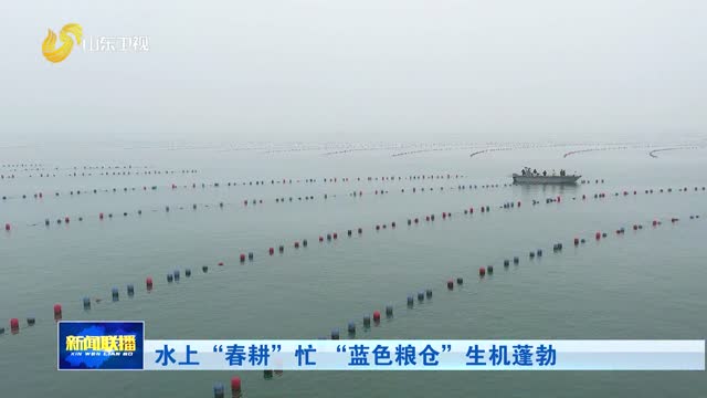 水上“春耕”忙 “蓝色粮仓”生机蓬勃