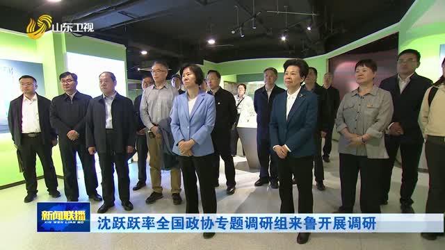 沈跃跃率全国政协专题调研组来鲁开展调研