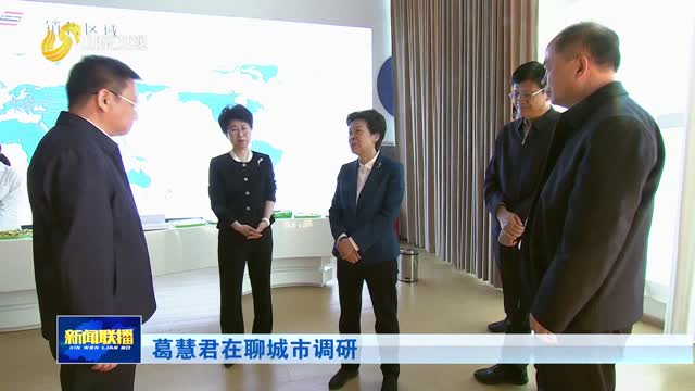 葛慧君在聊城市调研