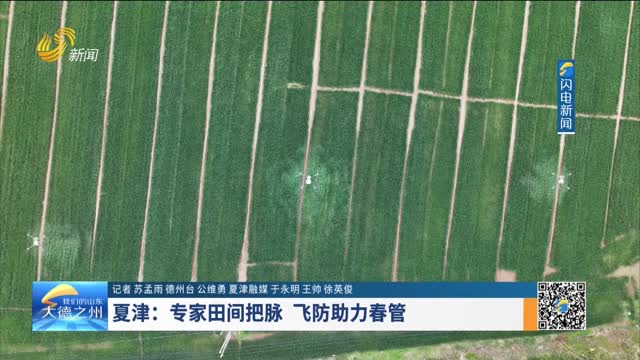 夏津：专家田间把脉 飞防助力春管