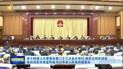 省十四届人大常委会第二十三次会议举行 林武主持并讲话 会议决定任命夏凤俭为山东省人民政府副省长