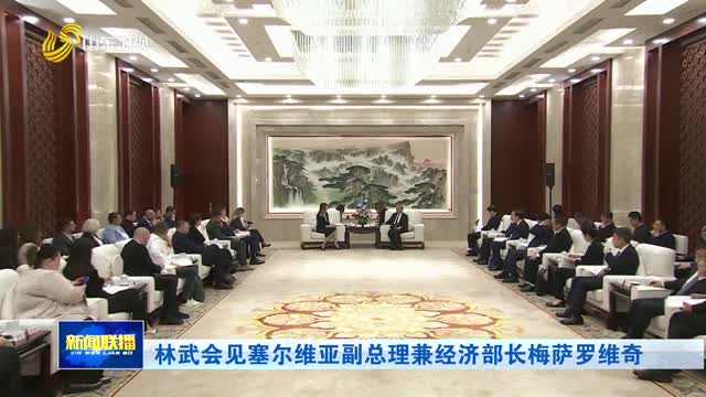 林武会见塞尔维亚副总理兼经济部长梅萨罗维奇