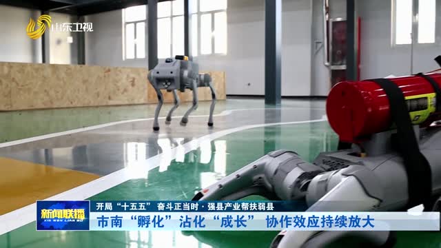 市南“孵化”沾化“成长” 协作效应持续放大【开局“十五五” 奋斗正当时·强县产业帮扶弱县】