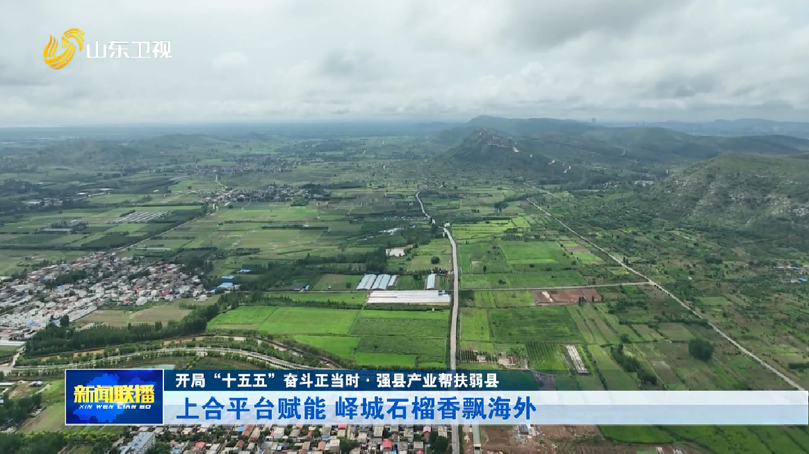 上合平台赋能 峄城石榴香飘海外【开局“十五五”奋斗正当时·强县产业帮扶弱县】