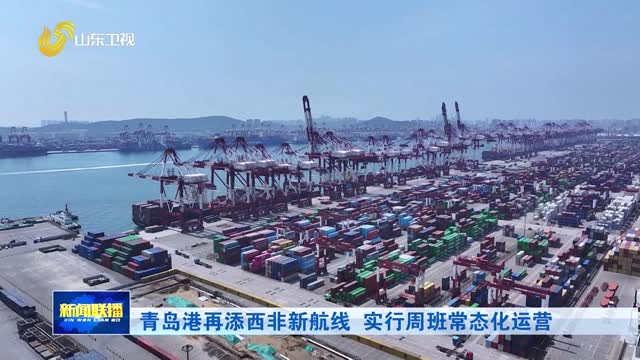 青岛港再添西非新航线 实行周班常态化运营