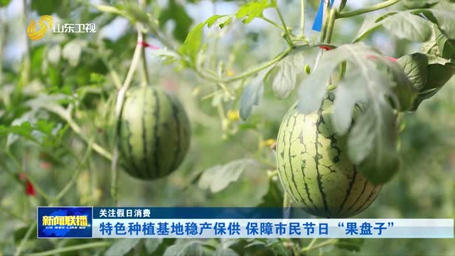 特色種植基地穩產保供 保障市民節日“果盤子”【關注假日消費】
