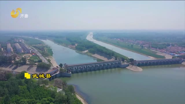 大美齐鲁(运河篇)千年运河武城段五月初景入画来