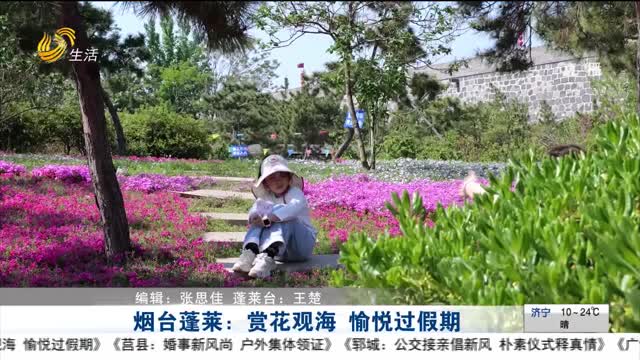 烟台蓬莱：赏花观海 愉悦过假期