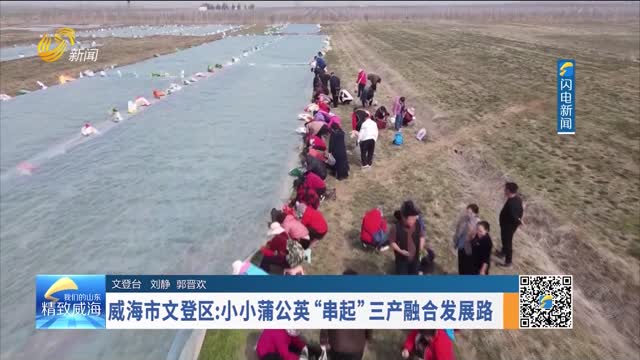 威海市文登区：小小蒲公英“串起”三产融合发展路