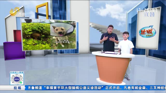 拉呱秀：五一假期那些火出圈的人和事