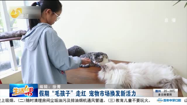假期“毛孩子”走红 宠物市场焕发新活力