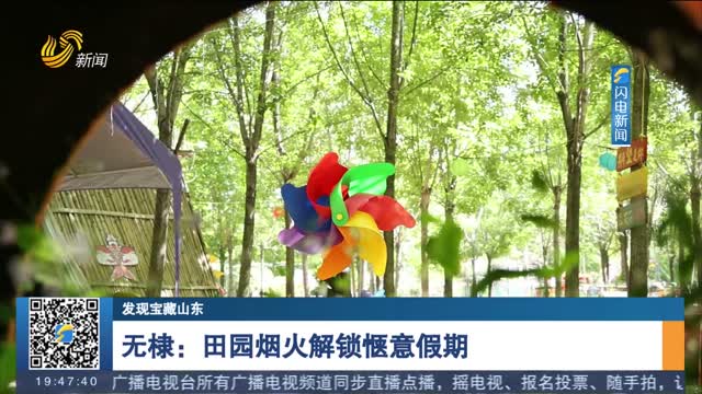 【发现宝藏山东】无棣：田园烟火解锁惬意假期